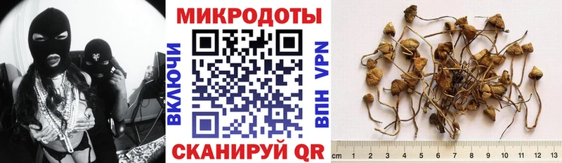 Галлюциногенные грибы мицелий  Саров 